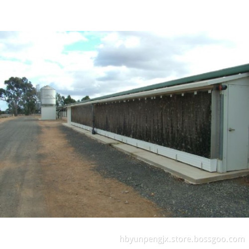 Cooling Fans and Pads for Poultry Farm
